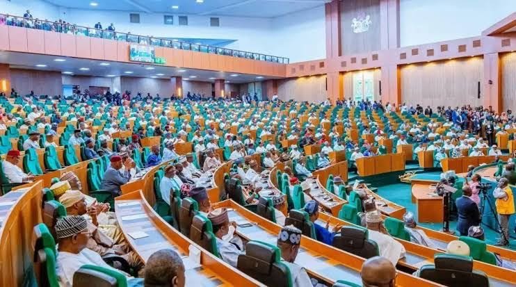 Reps to Grill Accountant-General Over Alleged Fake Agency Budget