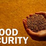 FG Steps Up Food Security Push Amid Rising Demand