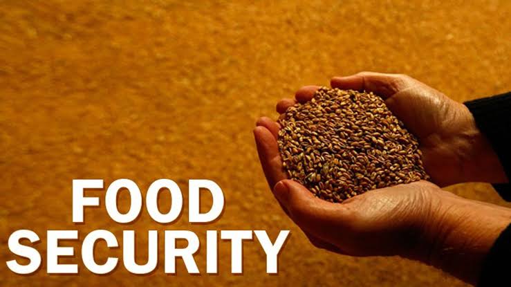 FG Steps Up Food Security Push Amid Rising Demand