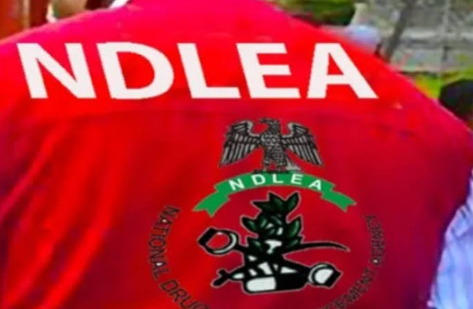 NDLEA Seizes 7.5 Tonnes of Illicit Drugs, Arrests 68 Suspects in Edo