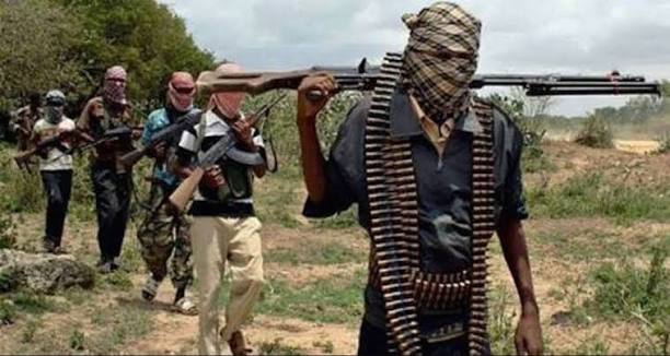 47 Farmers Abducted in Niger as Kidnappers Demand ₦2m Ransom Per Victim