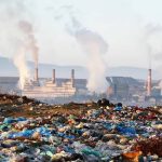 Environmental Toxins May Undermine Fertility, IVF Success — Ashiru