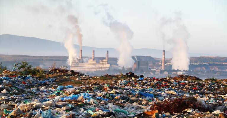 Environmental Toxins May Undermine Fertility, IVF Success — Ashiru