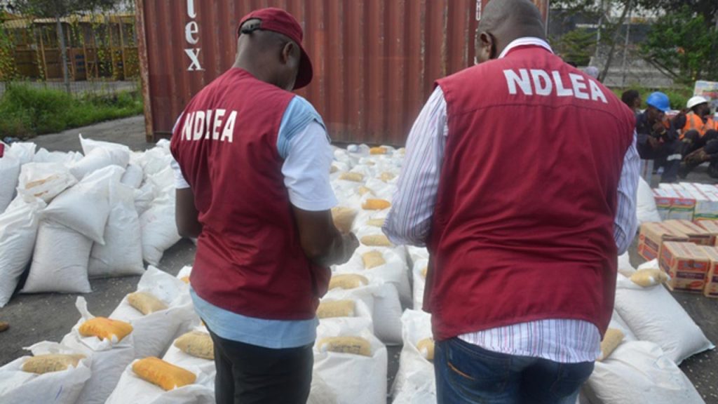 Rethink Drug Control: Lagos Lawyers Urge FG to Offer Financial Support, Livelihoods to Cannabis Farmers