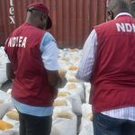 Rethink Drug Control: Lagos Lawyers Urge FG to Offer Financial Support, Livelihoods to Cannabis Farmers