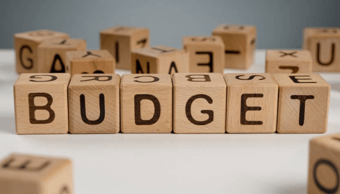 Multiple budgets continue to mess up fiscal space, affect project delivery